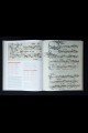 Petrus Alamire - Meerstemmigheid in beeld